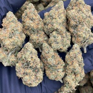 Botanical Flower – Frosted Orange